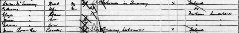 1891 census husband of Margaret McGoey