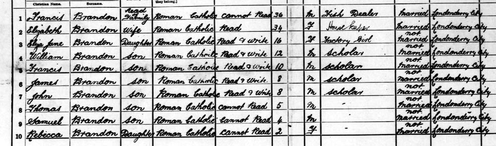 1901 census brandon