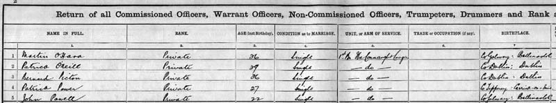 o.neill 1911 census